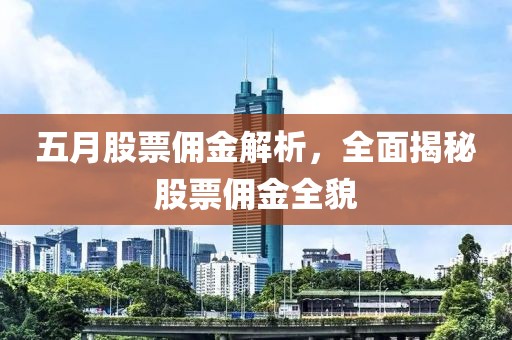 五月股票佣金解析，全面揭秘股票佣金全貌