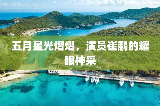 五月星光熠熠，演员崔鹏的耀眼神采
