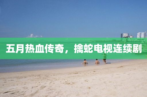五月热血传奇，擒蛇电视连续剧