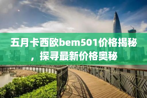 五月卡西欧bem501价格揭秘，探寻最新价格奥秘