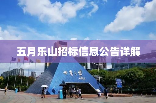 五月乐山招标信息公告详解