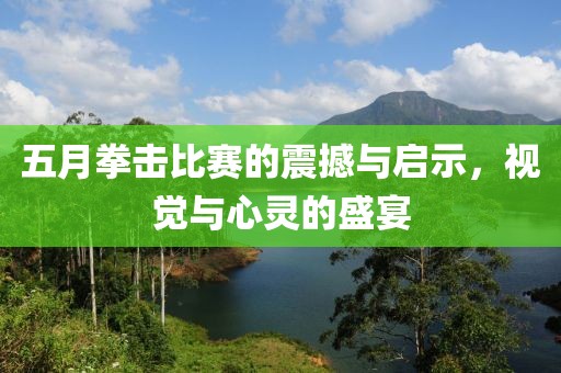 五月拳击比赛的震撼与启示，视觉与心灵的盛宴