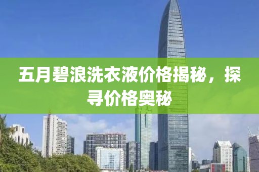 五月碧浪洗衣液价格揭秘，探寻价格奥秘