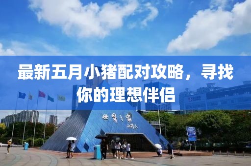 最新五月小猪配对攻略，寻找你的理想伴侣