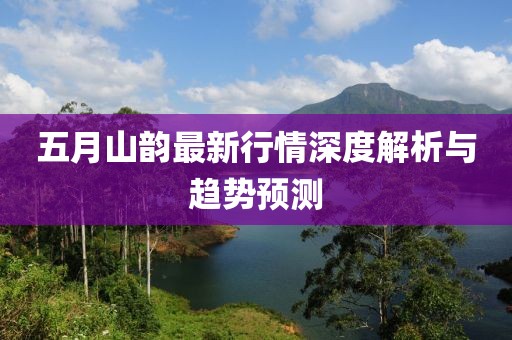 五月山韵最新行情深度解析与趋势预测