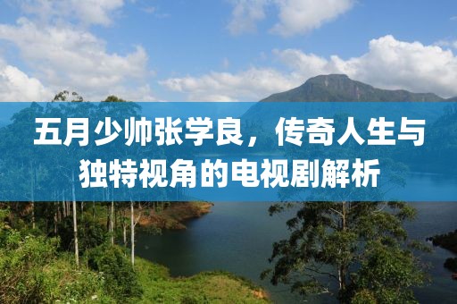 五月少帅张学良，传奇人生与独特视角的电视剧解析
