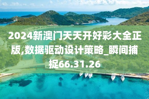 2024新澳门天天开好彩大全正版,数据驱动设计策略_瞬间捕捉66.31.26