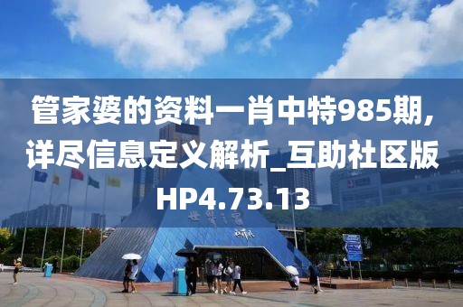 管家婆的资料一肖中特985期,详尽信息定义解析_互助社区版HP4.73.13