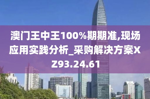 澳门王中王100%期期准,现场应用实践分析_采购解决方案XZ93.24.61