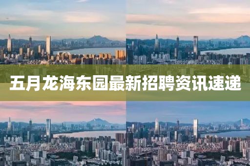 五月龙海东园最新招聘资讯速递