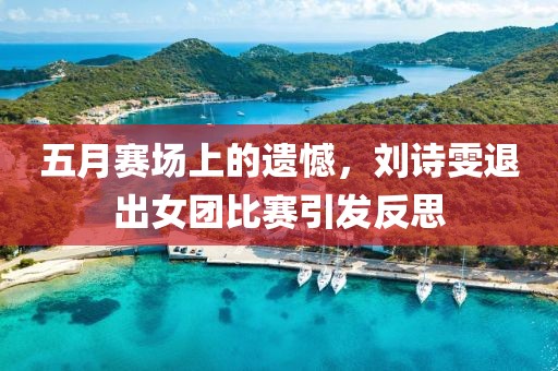五月赛场上的遗憾，刘诗雯退出女团比赛引发反思