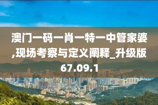 澳门一码一肖一特一中管家婆,现场考察与定义阐释_升级版67.09.1