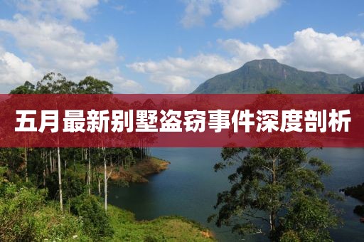 五月最新别墅盗窃事件深度剖析