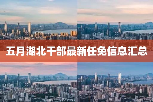 五月湖北干部最新任免信息汇总