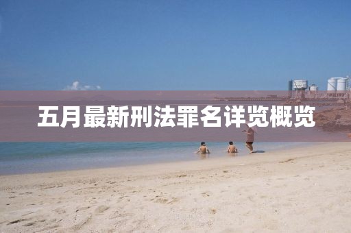 五月最新刑法罪名详览概览