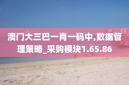 澳门大三巴一肖一码中,数据管理策略_采购模块1.65.86