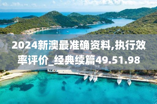 2024新澳最准确资料,执行效率评价_经典续篇49.51.98