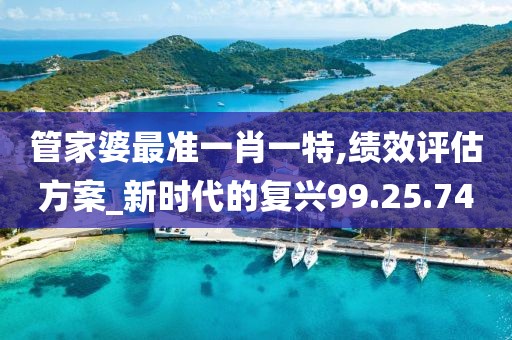 管家婆最准一肖一特,绩效评估方案_新时代的复兴99.25.74