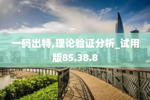 一码出特,理论验证分析_试用版85.38.8
