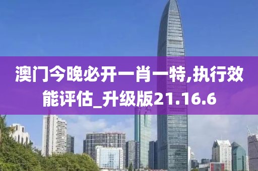 澳门今晚必开一肖一特,执行效能评估_升级版21.16.6