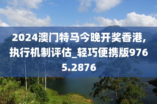 2024澳门特马今晚开奖香港,执行机制评估_轻巧便携版9765.2876