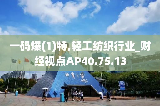 一码爆(1)特,轻工纺织行业_财经视点AP40.75.13