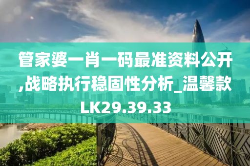管家婆一肖一码最准资料公开,战略执行稳固性分析_温馨款LK29.39.33