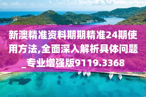 新澳精准资料期期精准24期使用方法,全面深入解析具体问题_专业增强版9119.3368