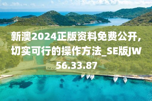 新澳2024正版资料免费公开,切实可行的操作方法_SE版JW56.33.87