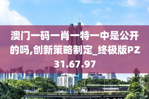 澳门一码一肖一特一中是公开的吗,创新策略制定_终极版PZ31.67.97
