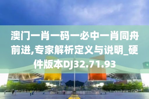 澳门一肖一码一必中一肖同舟前进,专家解析定义与说明_硬件版本DJ32.71.93