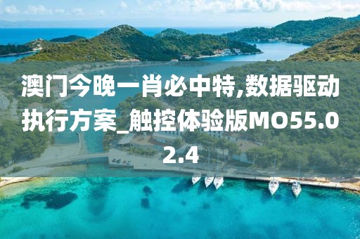 澳门今晚一肖必中特,数据驱动执行方案_触控体验版MO55.02.4