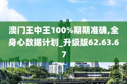 澳门王中王100%期期准确,全身心数据计划_升级版62.63.67