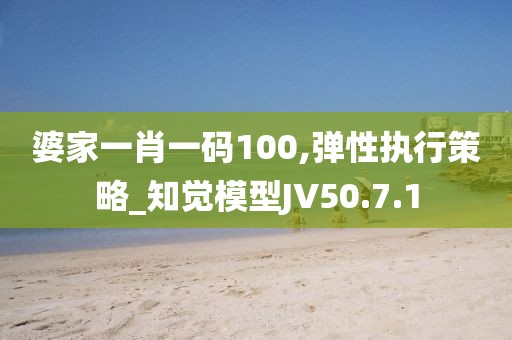 婆家一肖一码100,弹性执行策略_知觉模型JV50.7.1