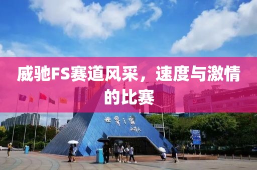 威驰FS赛道风采，速度与激情的比赛