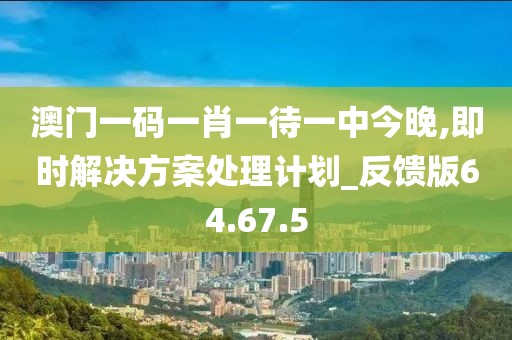 澳门一码一肖一待一中今晚,即时解决方案处理计划_反馈版64.67.5
