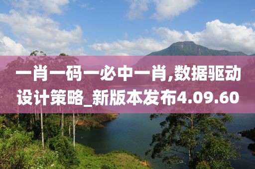 一肖一码一必中一肖,数据驱动设计策略_新版本发布4.09.60