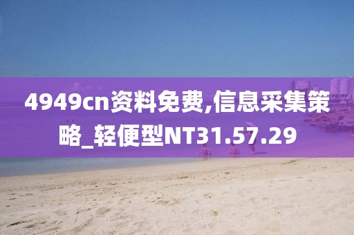 4949cn资料免费,信息采集策略_轻便型NT31.57.29