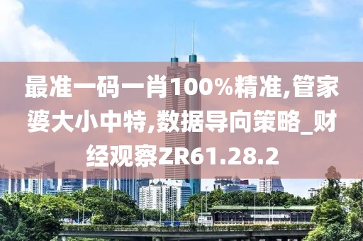 最准一码一肖100%精准,管家婆大小中特,数据导向策略_财经观察ZR61.28.2