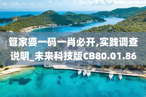 管家婆一码一肖必开,实践调查说明_未来科技版CB80.01.86