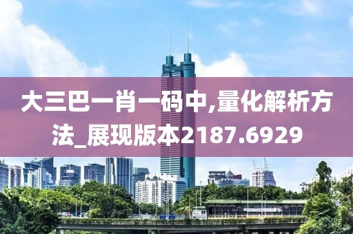 大三巴一肖一码中,量化解析方法_展现版本2187.6929