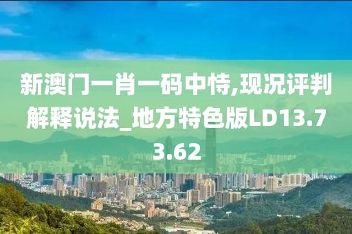 新澳门一肖一码中恃,现况评判解释说法_地方特色版LD13.73.62