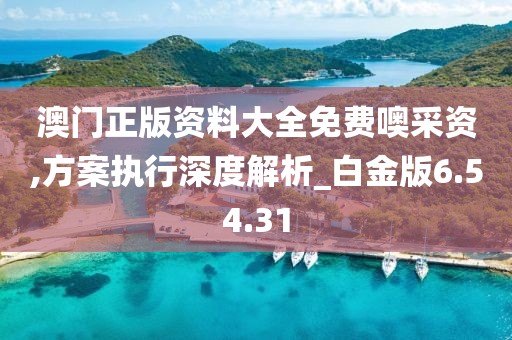 澳门正版资料大全免费噢采资,方案执行深度解析_白金版6.54.31