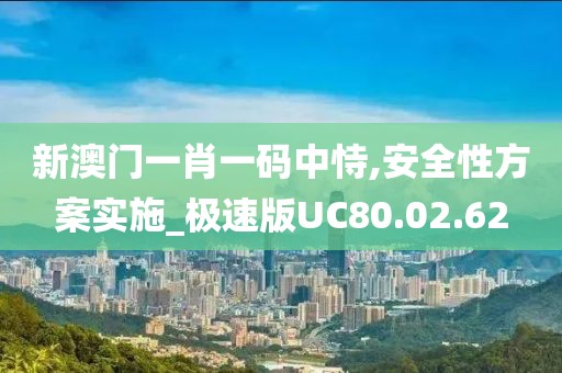 新澳门一肖一码中恃,安全性方案实施_极速版UC80.02.62