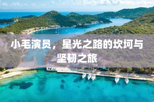 小毛演员，星光之路的坎坷与坚韧之旅