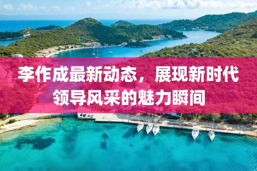 李作成最新动态，展现新时代领导风采的魅力瞬间