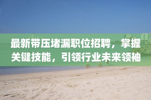 最新带压堵漏职位招聘，掌握关键技能，引领行业未来领袖