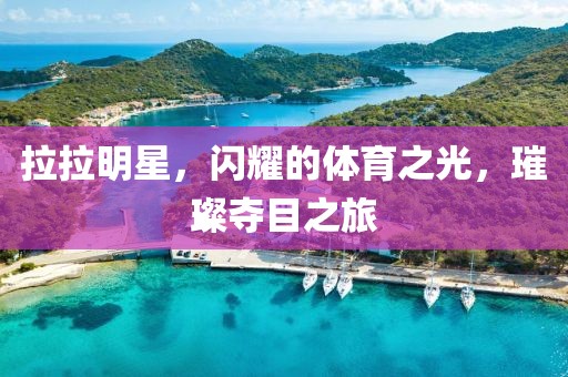 拉拉明星，闪耀的体育之光，璀璨夺目之旅