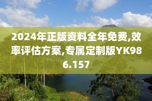 2024年正版资料全年免费,效率评估方案,专属定制版YK986.157