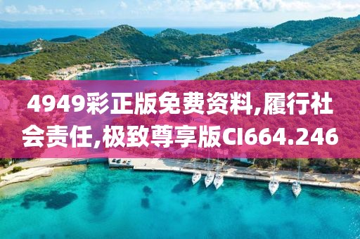 4949彩正版免费资料,履行社会责任,极致尊享版CI664.246